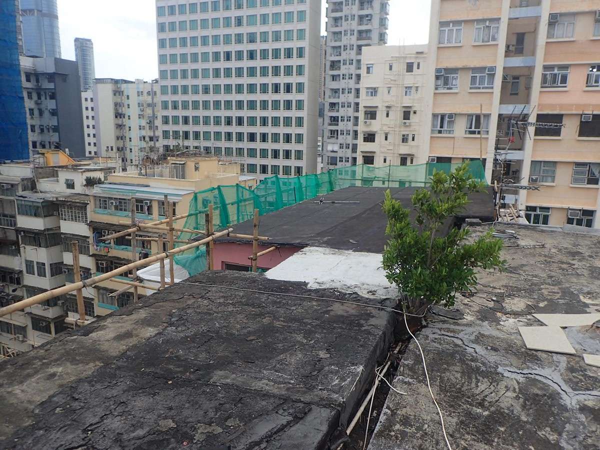 Photo: 清拆天台僭建物11.jpg