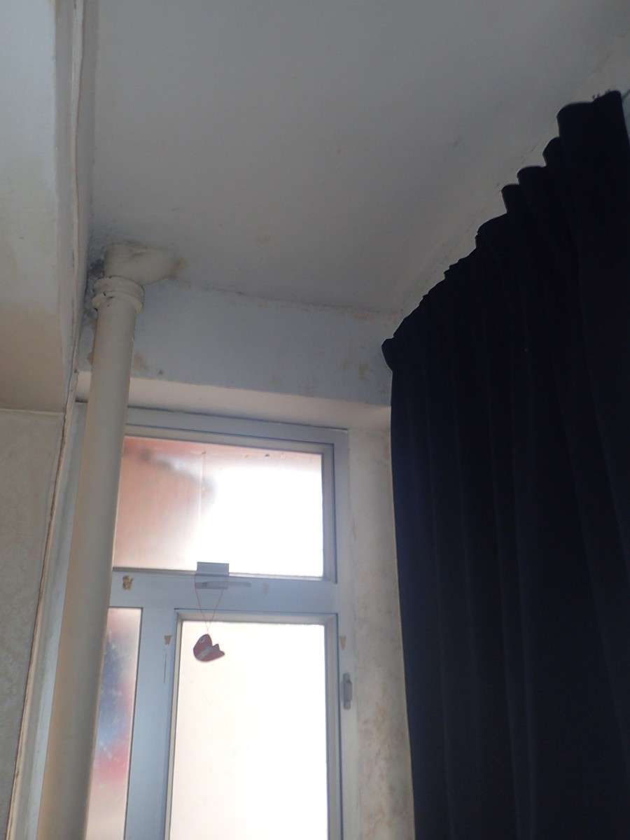 Photo: 驗樓-驗露台04.jpg